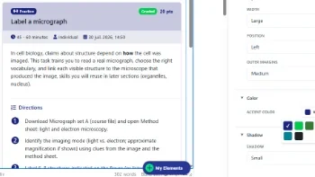 The inserted element (an activity card) features colors suited to the Moodle demo site.